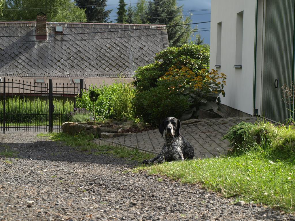 Guest House LUFT Sněžník Exterior foto